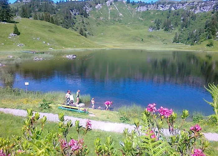 Apartment Amazing In